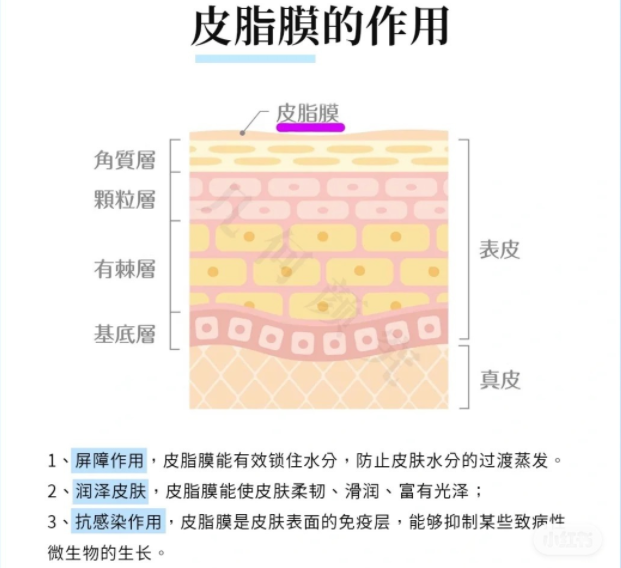 如图片无法显示，请刷新页面